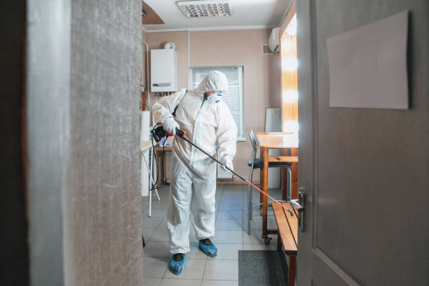 Best Real Estate Mold Inspection  in Dimondale, MI